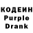 Кодеин Purple Drank GALA KSY